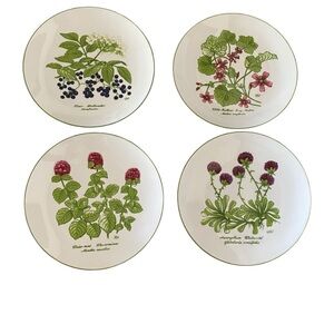 Bareuther Waldsassen Bavaria Botanic Flower berries 142 Salad Plates green trim